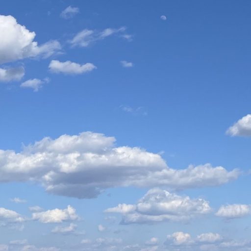 アンククロス【オリジナルシャンプー】補修成分リピジュア・ペリセア